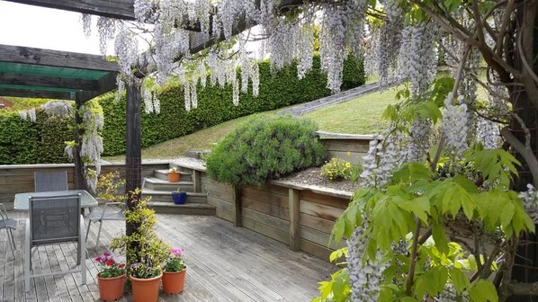 Una terraza de madera con una pérgola, plantas en macetas y un césped verde.