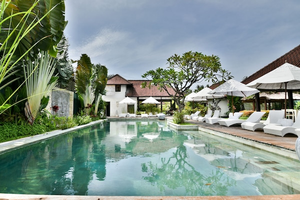 Outdoor pool, pool umbrellas, pool loungers