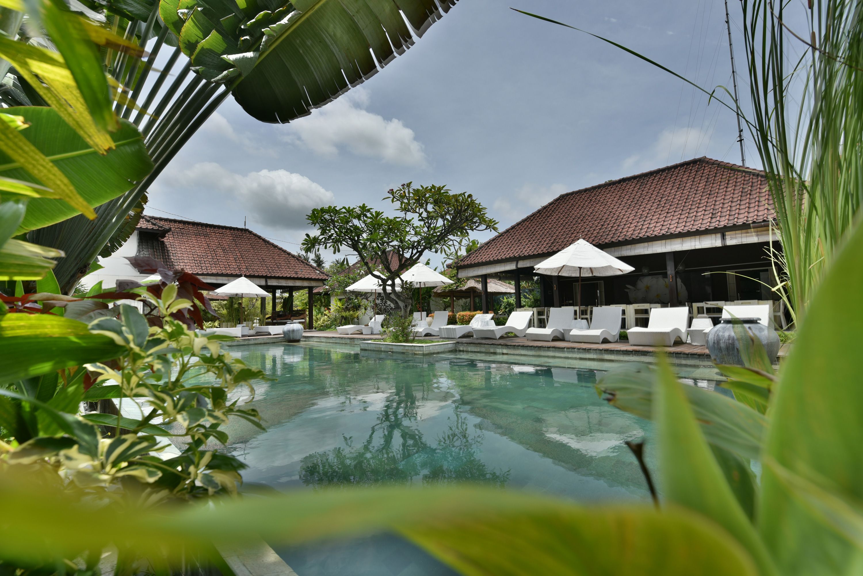 A pool area with lounge chairs and umbrellas, surrounded by greenery and buildings with tiled roofs.