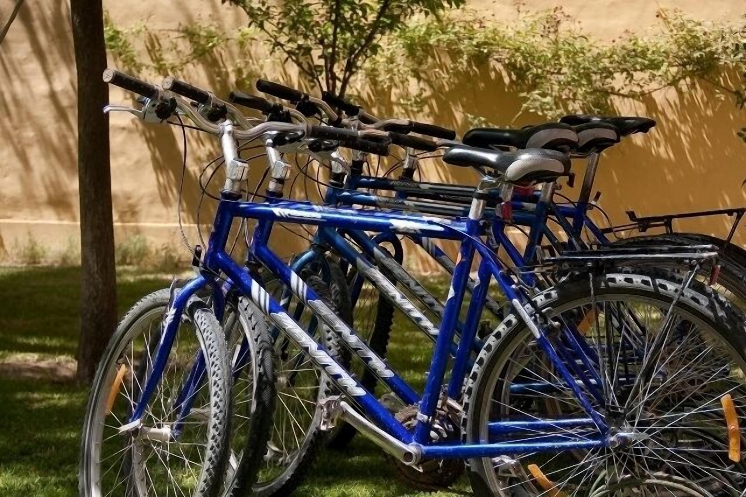 Photo - El Gualicho Hostel