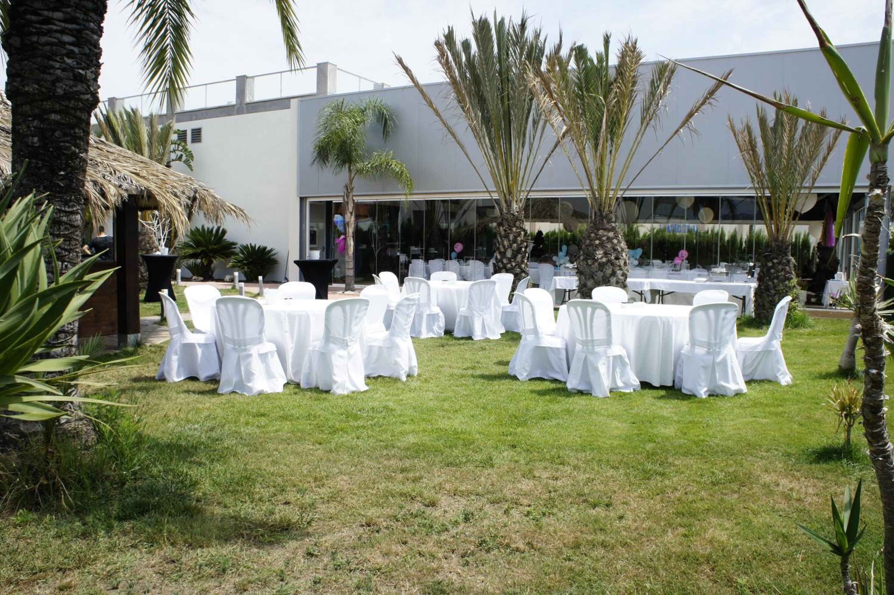 An outdoor seating area with white-covered tables and chairs, palm trees, and a building in the background.