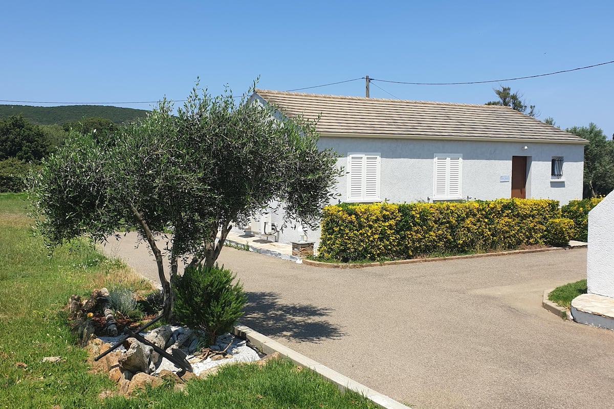 A white house with a tiled roof, a small garden with a tree and yellow flowers, and a clear sky.