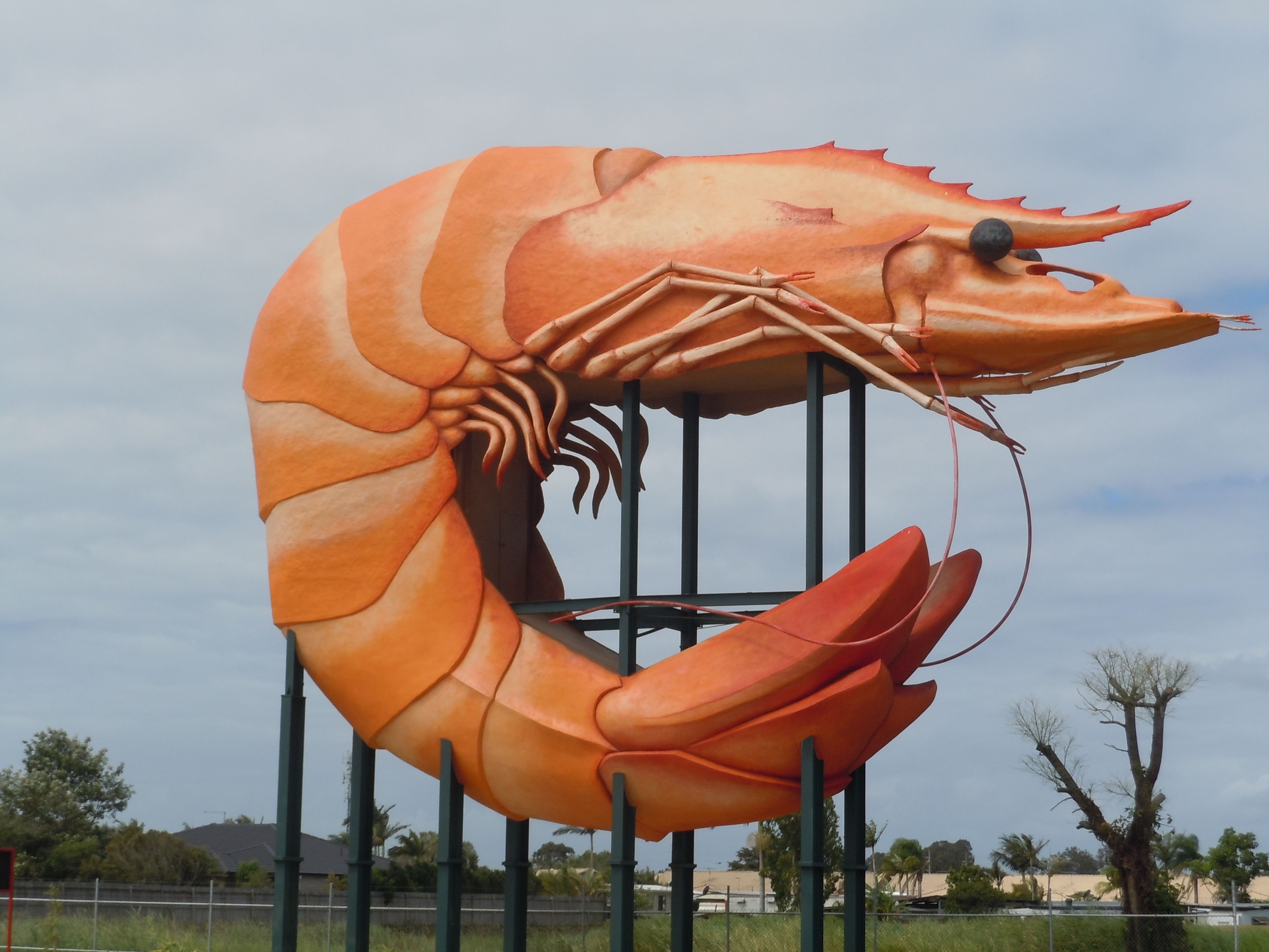 A large sculpture of a shrimp mounted on a metal structure.