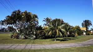 Un césped bien cuidado con palmeras y un letrero del motel Colonial.