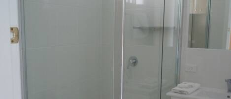 Un baño con ducha de vidrio, inodoro y lavabo con espejo.
