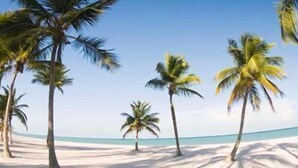 Beach - Sachal Mir Bed and Breakfast (Negombo)