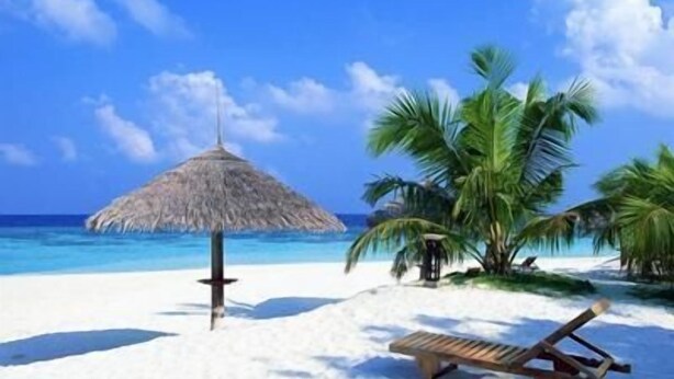 Beach - Sachal Mir Bed and Breakfast (Negombo)