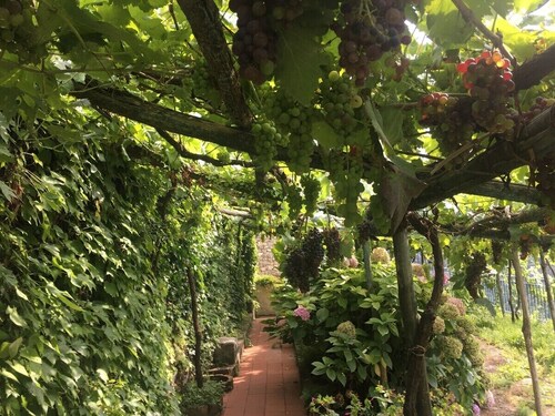 Residence Le Villette