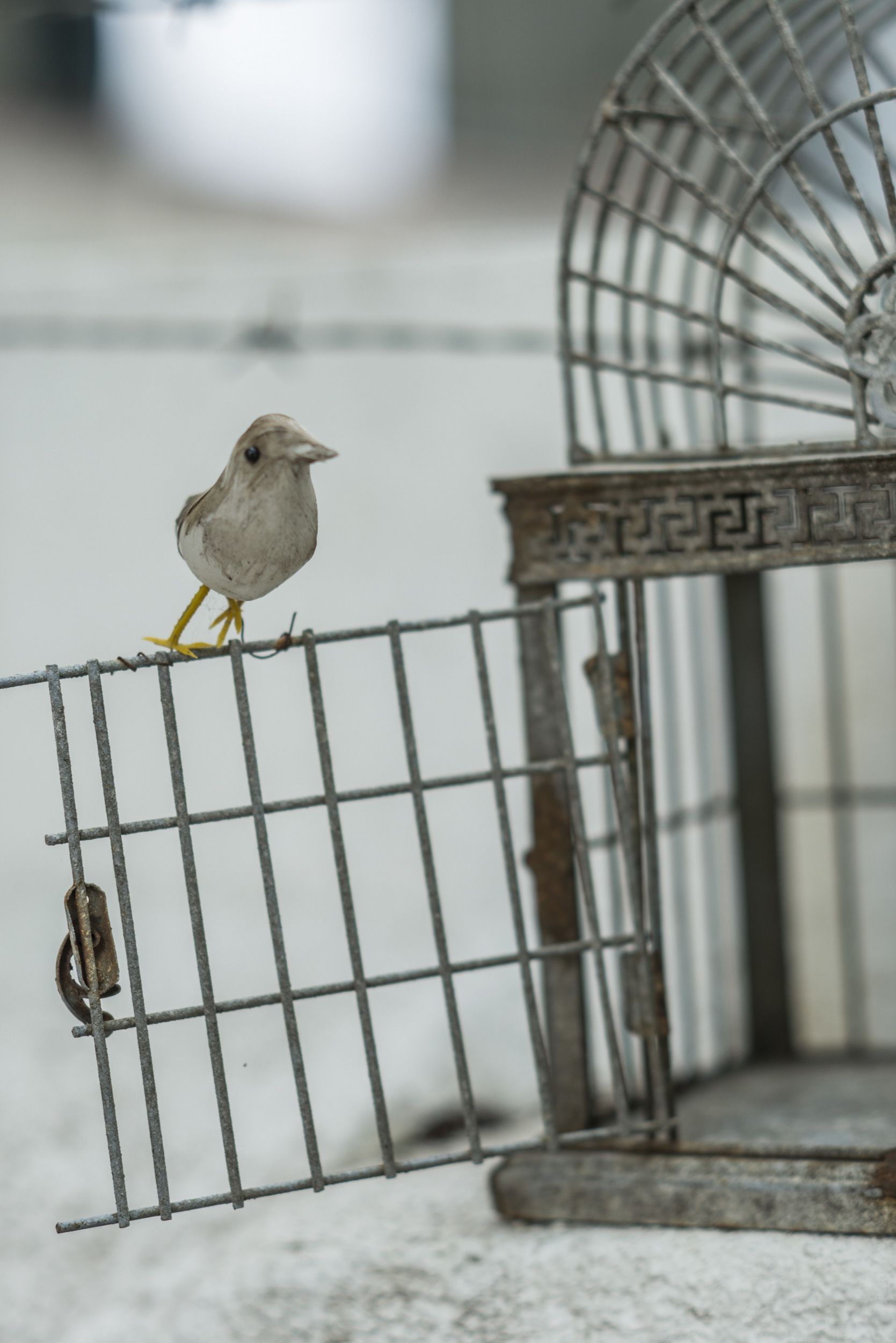 Foto - Ipanema Beach House