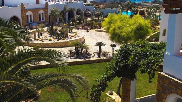 Property grounds - Olvos Koufonisia (Naxos)