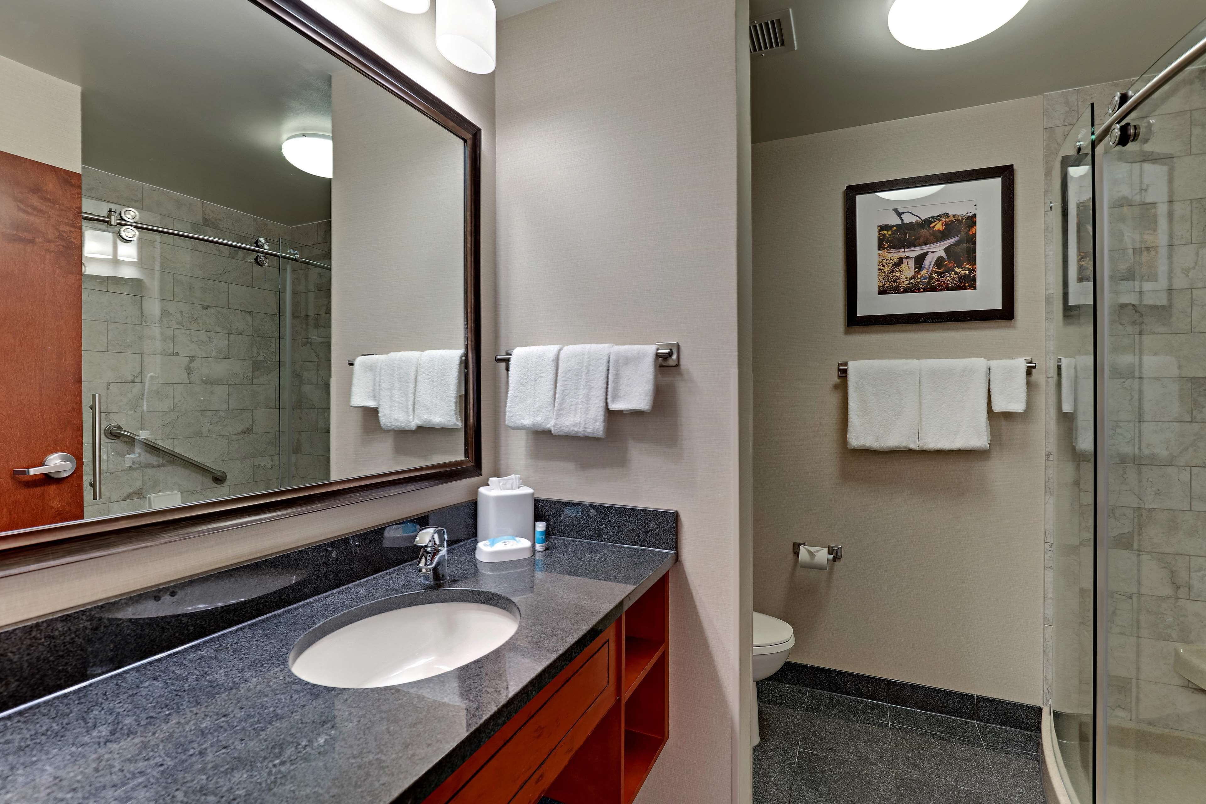 combined shower/bathtub, free toiletries, hair dryer, towels