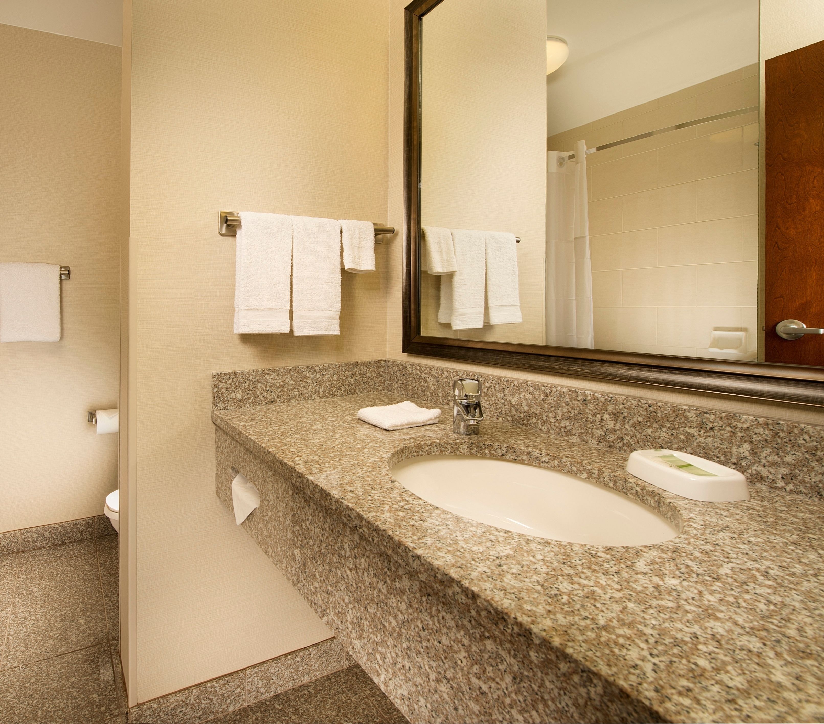 combined shower/bathtub, free toiletries, hair dryer, towels