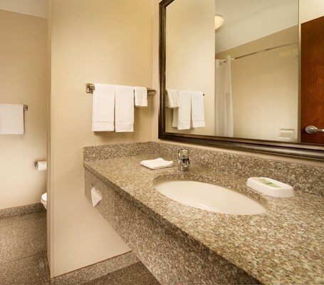 Drury Inn Suites near Universal Orlando Resort - Image 7