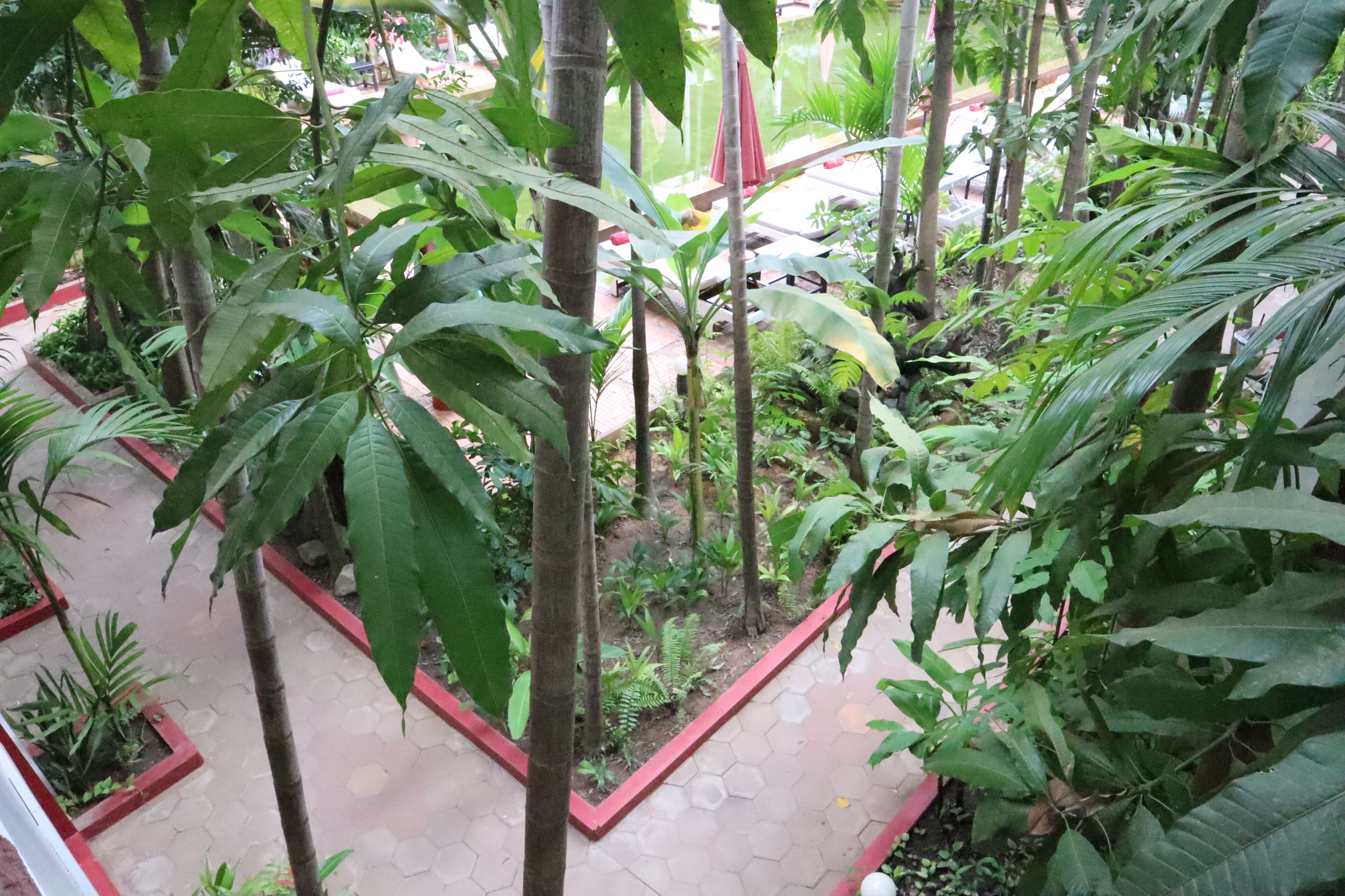 Foto - La Niche D'angkor Boutique Hotel