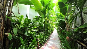 A pathway lined with lush green plants and a hexagonal tiled floor.