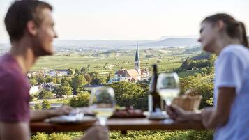 Vineyard