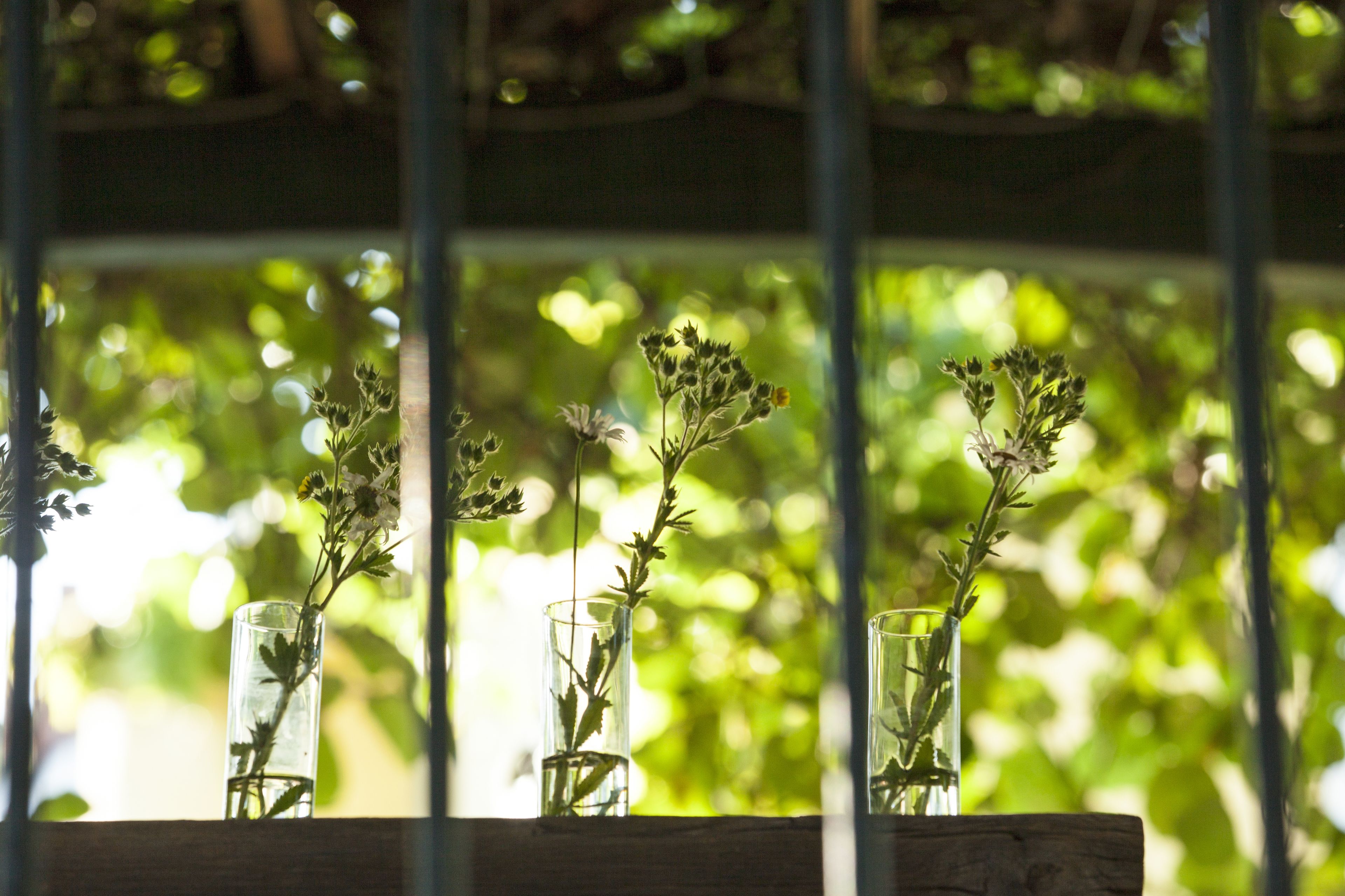 Foto - Hotel Landhaus Moserhof