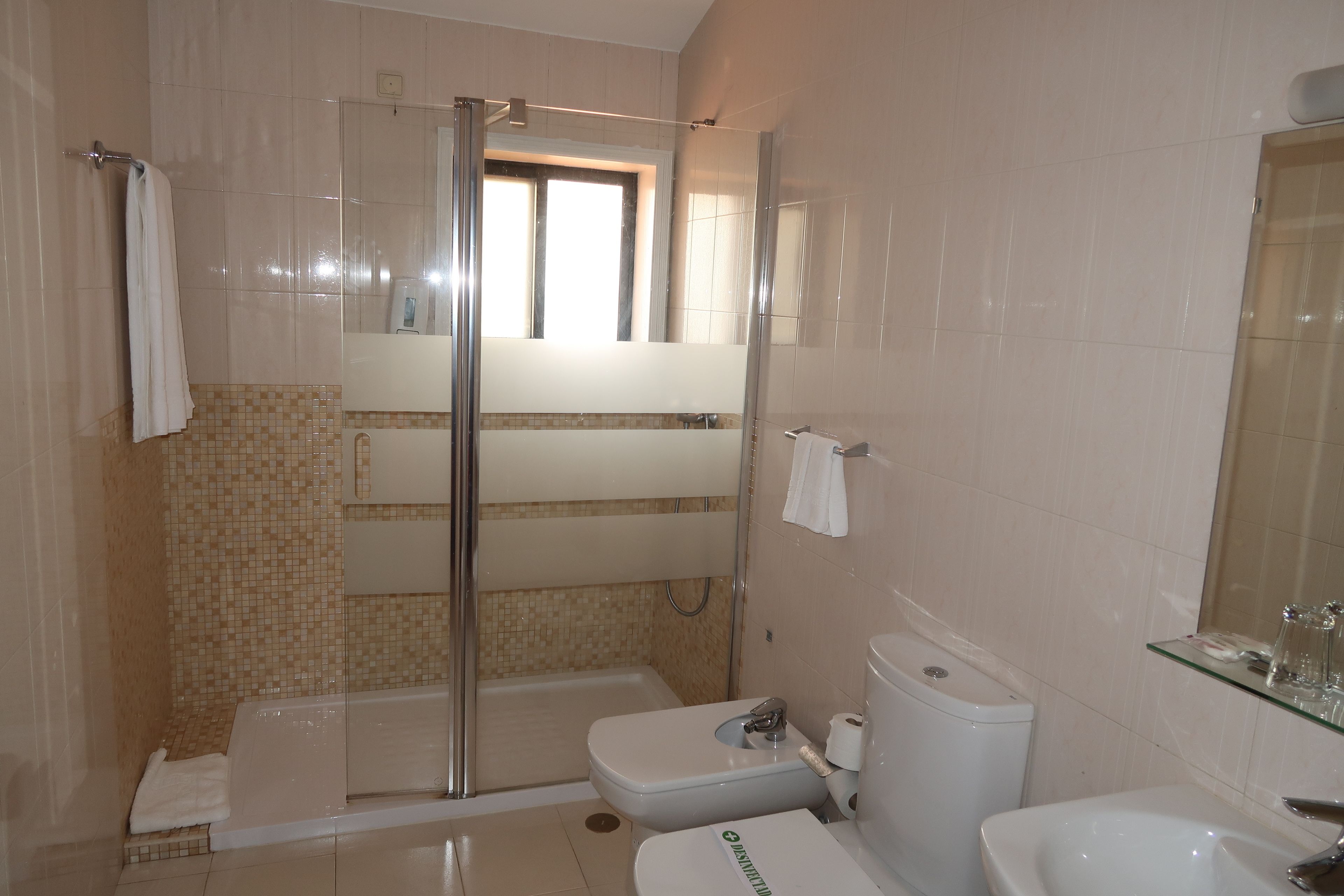 hair dryer, bathrobes, bidet, towels