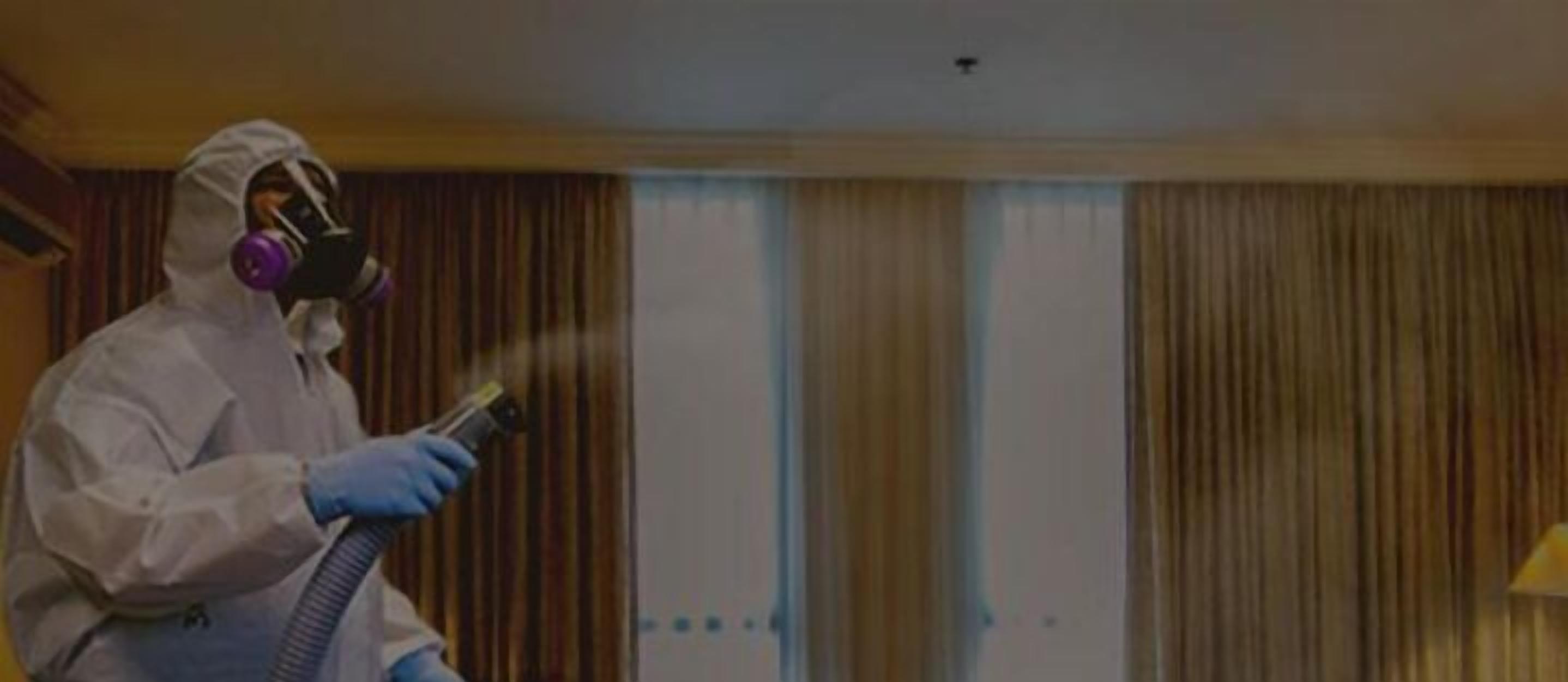 Foto - Herald Suites