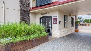 A reception area with a wooden planter with green plants, a palm tree, and a sign indicating office hours. - Burke and Wills Motor Inn (Kingaroy)