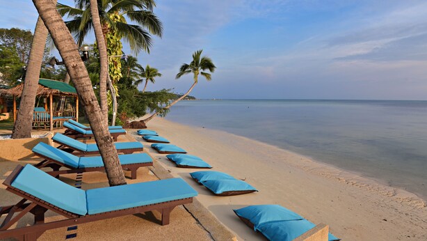 Une plage avec des chaises longues et une structure recouverte d’un toit de chaume.