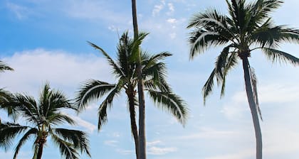 Blu' Beach Bungalows