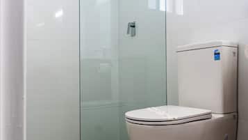 Combined shower/bathtub, free toiletries, towels