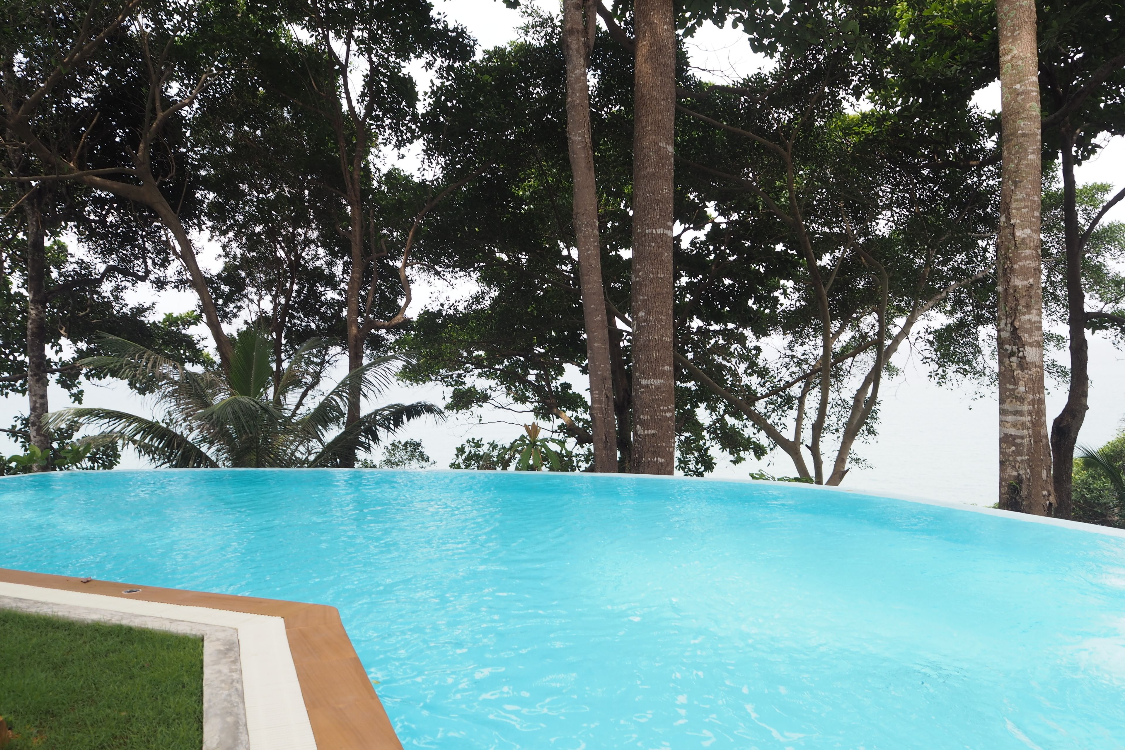 A clear blue infinity pool surrounded by lush tropical trees.
