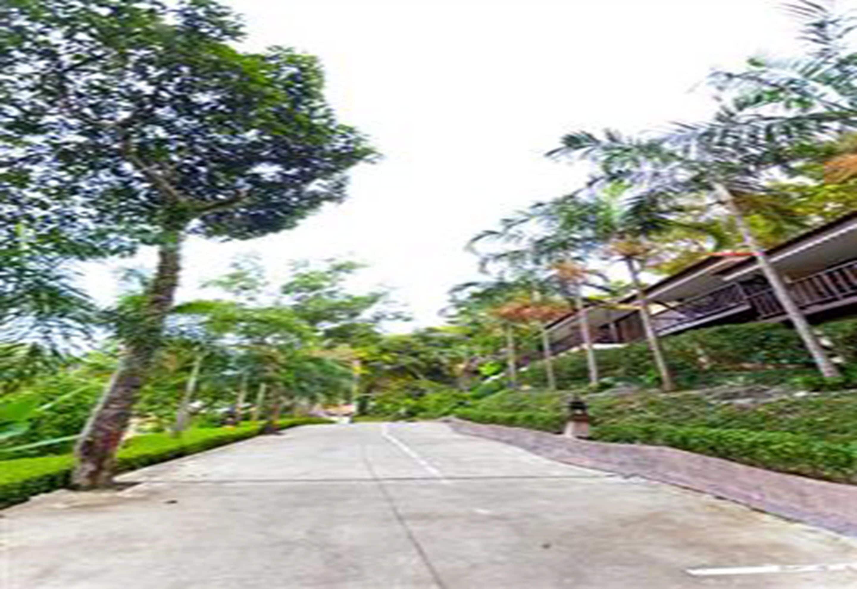 A pathway lined with trees and a covered walkway.