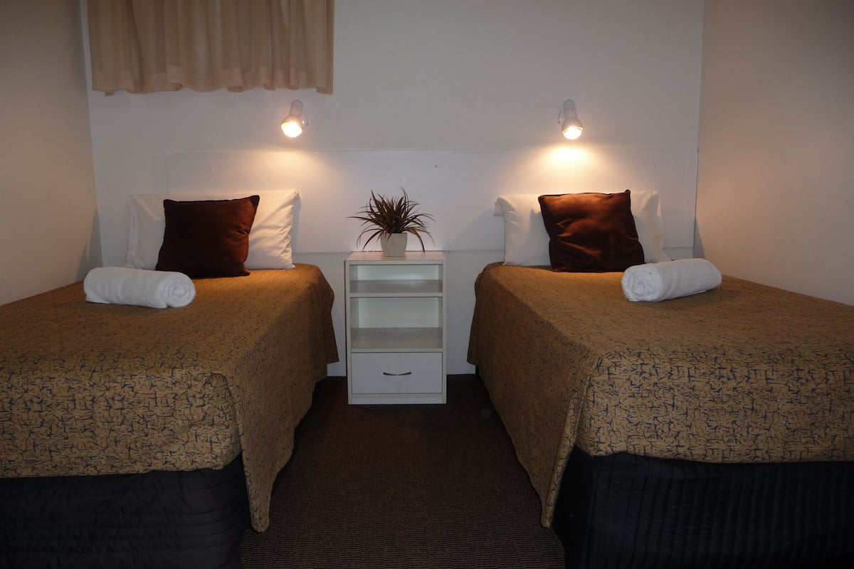 A twin room with two beds, each with a pillow, a small bedside table, and a plant.