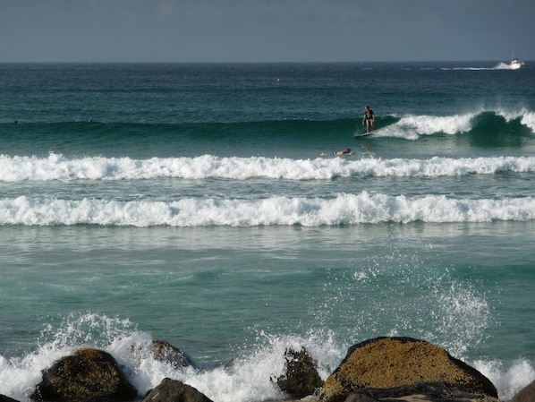Beach nearby - Blue Pelican Motel (Tweed Heads)