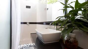 Shower, free toiletries, bidet, towels