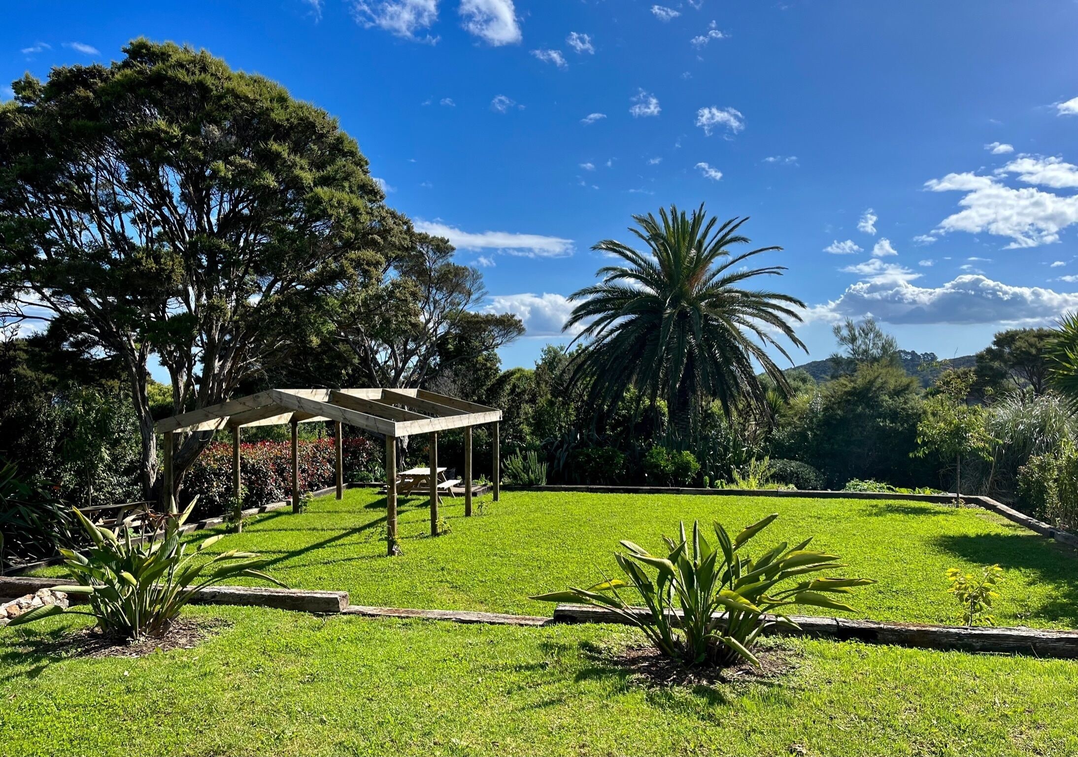 A garden with a pergola, green grass, and various plants.