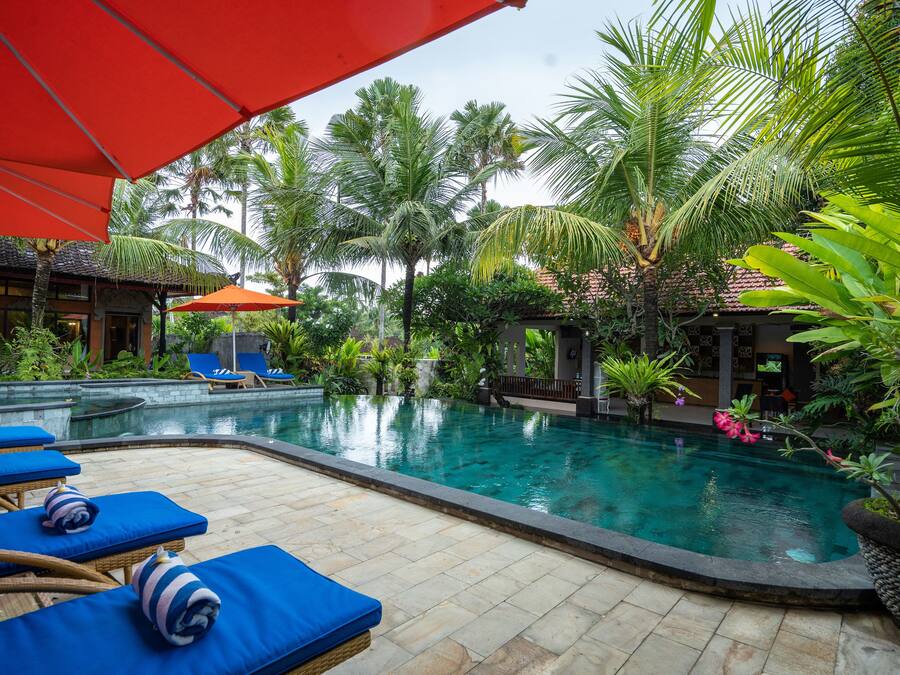 A pool area with lounge chairs and umbrellas, surrounded by tropical plants and palm trees.