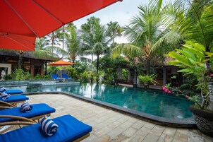 Outdoor pool, sun loungers