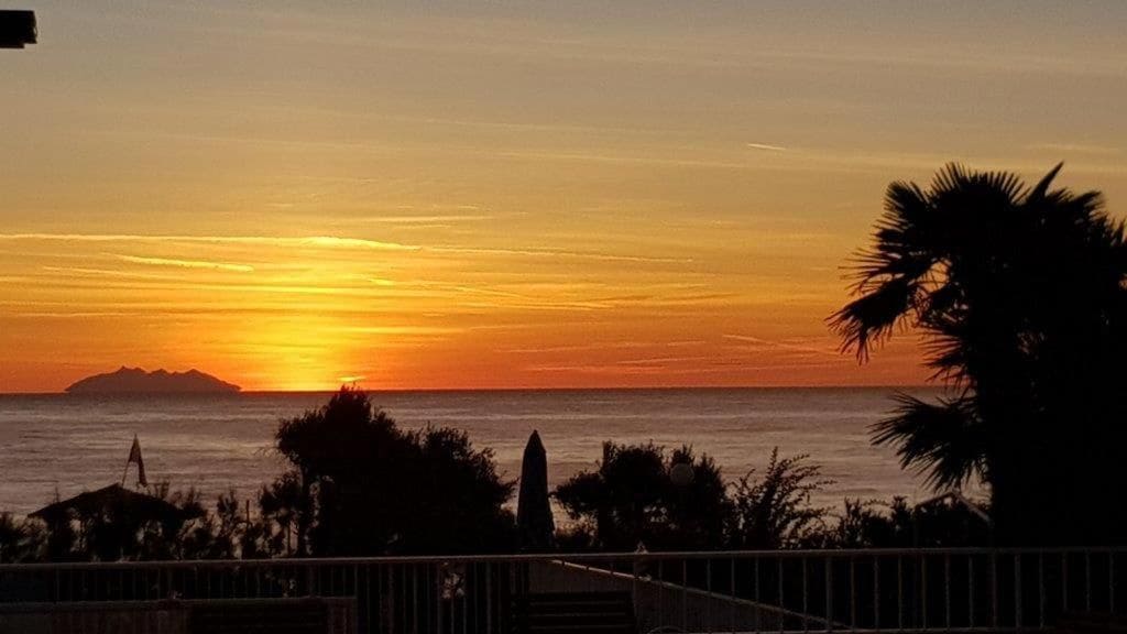 A sunset over the ocean with silhouettes of palm trees and a distant island.