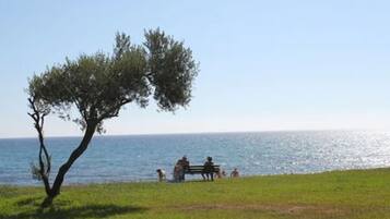 A coastal scene with a tree, a bench, and people by the water.