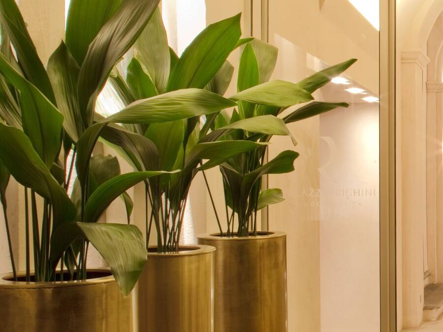 Een gang met grote potplanten, een marmeren vloer en een statig portaal naar een kamer.