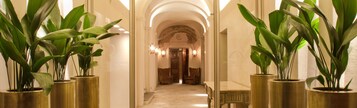 Um corredor com grandes vasos de plantas, piso de mármore e um arco imponente que dá para um quarto.