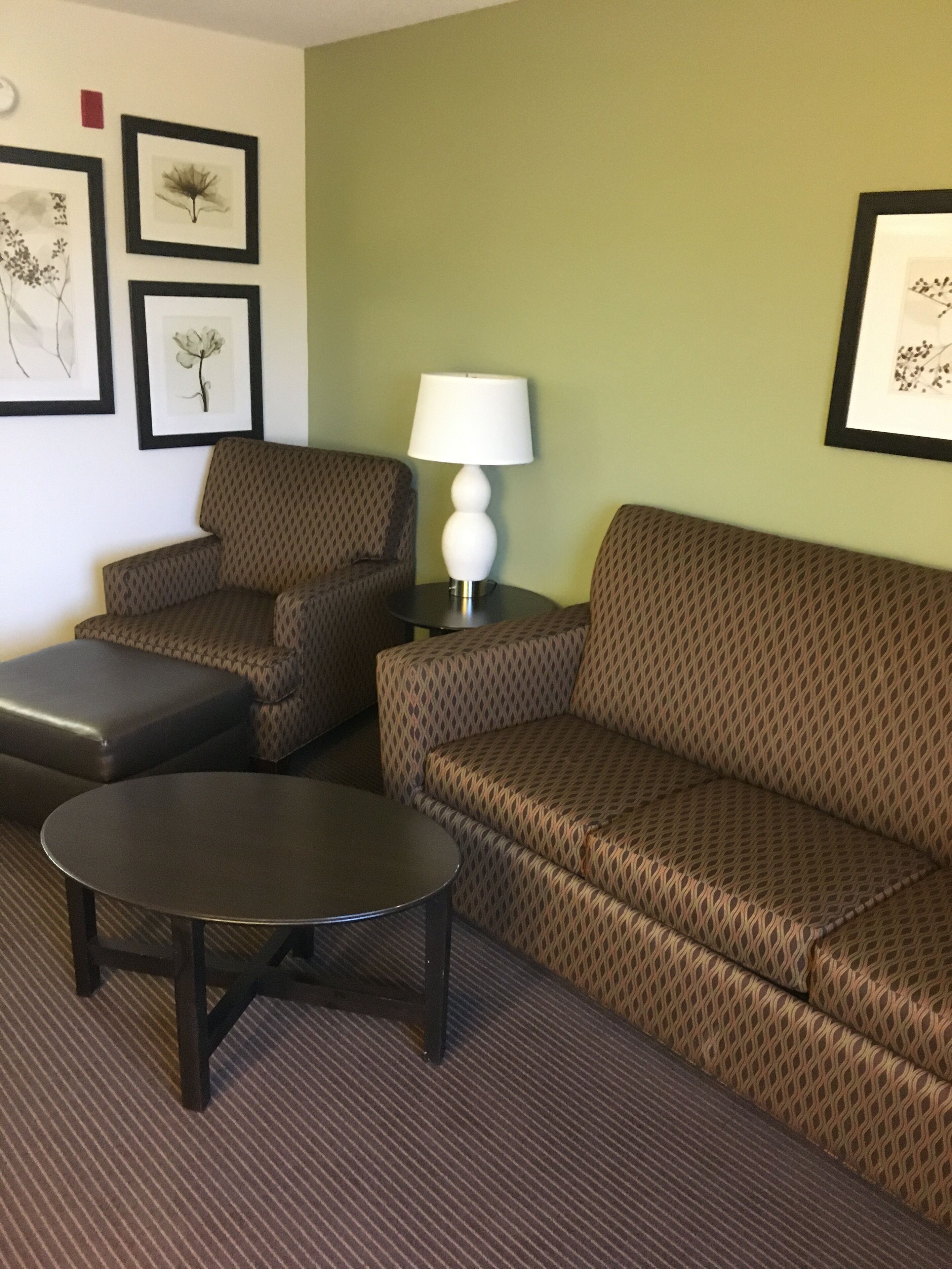 Suite Deluxe, 1 habitación, no fumadores (1 Kingbed) | Zona de estar | Televisión LCD de 32 pulgadas con canales por cable, una televisión