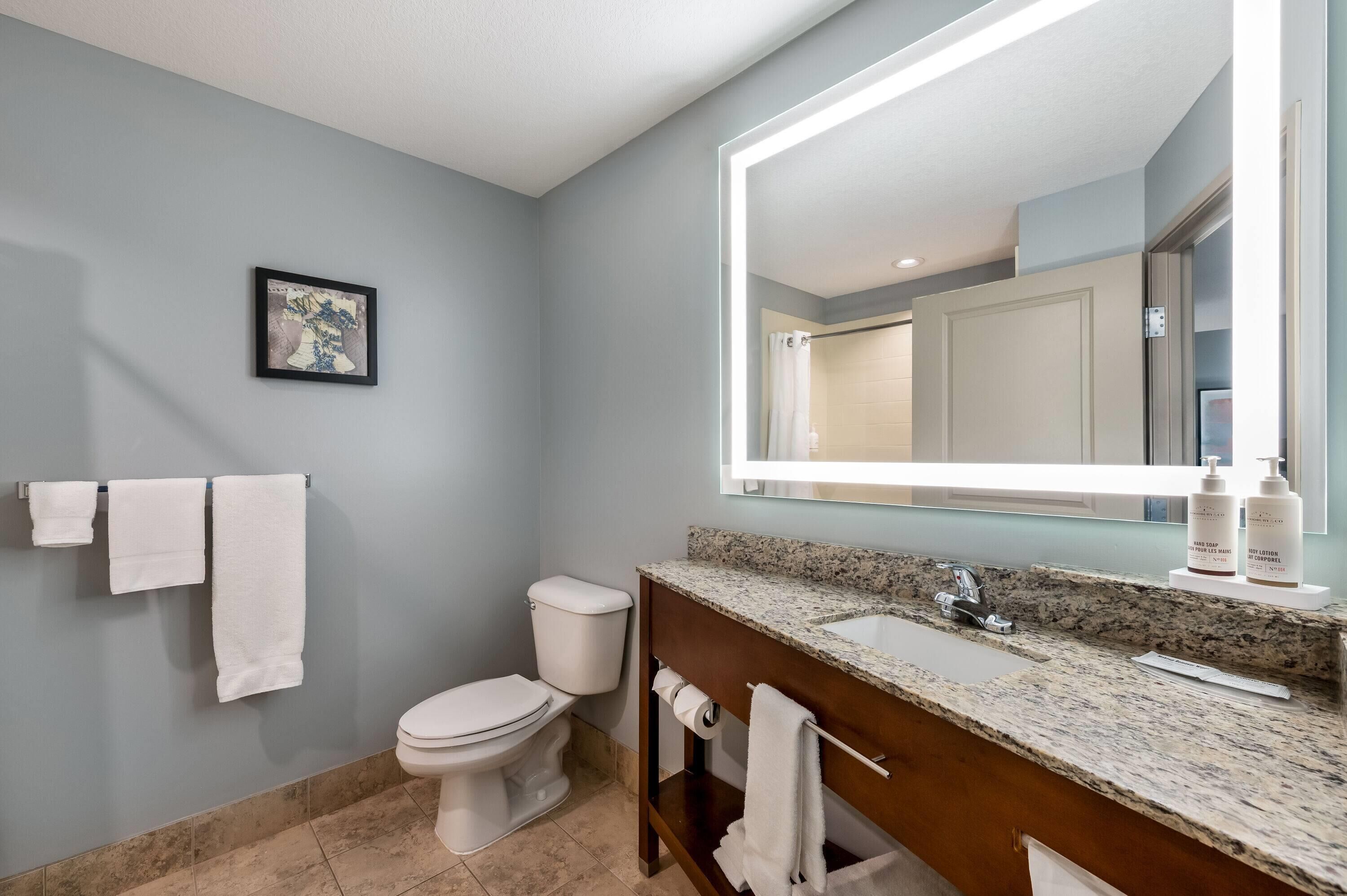 A bathroom with a toilet, sink, and mirror.
