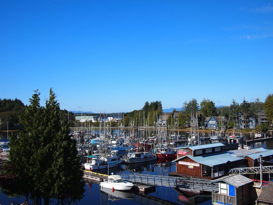 Un port de plaisance avec des bateaux amarrés, un petit bâtiment en bois avec une enseigne, et un ciel bleu dégagé.