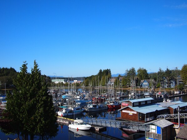 A marina with boats docked, a small wooden building with signage, and a clear blue sky. - West Coast Motel (Ucluelet)