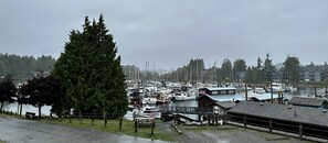A marina with boats docked, a large tree, and buildings in the background. - West Coast Motel (Ucluelet)