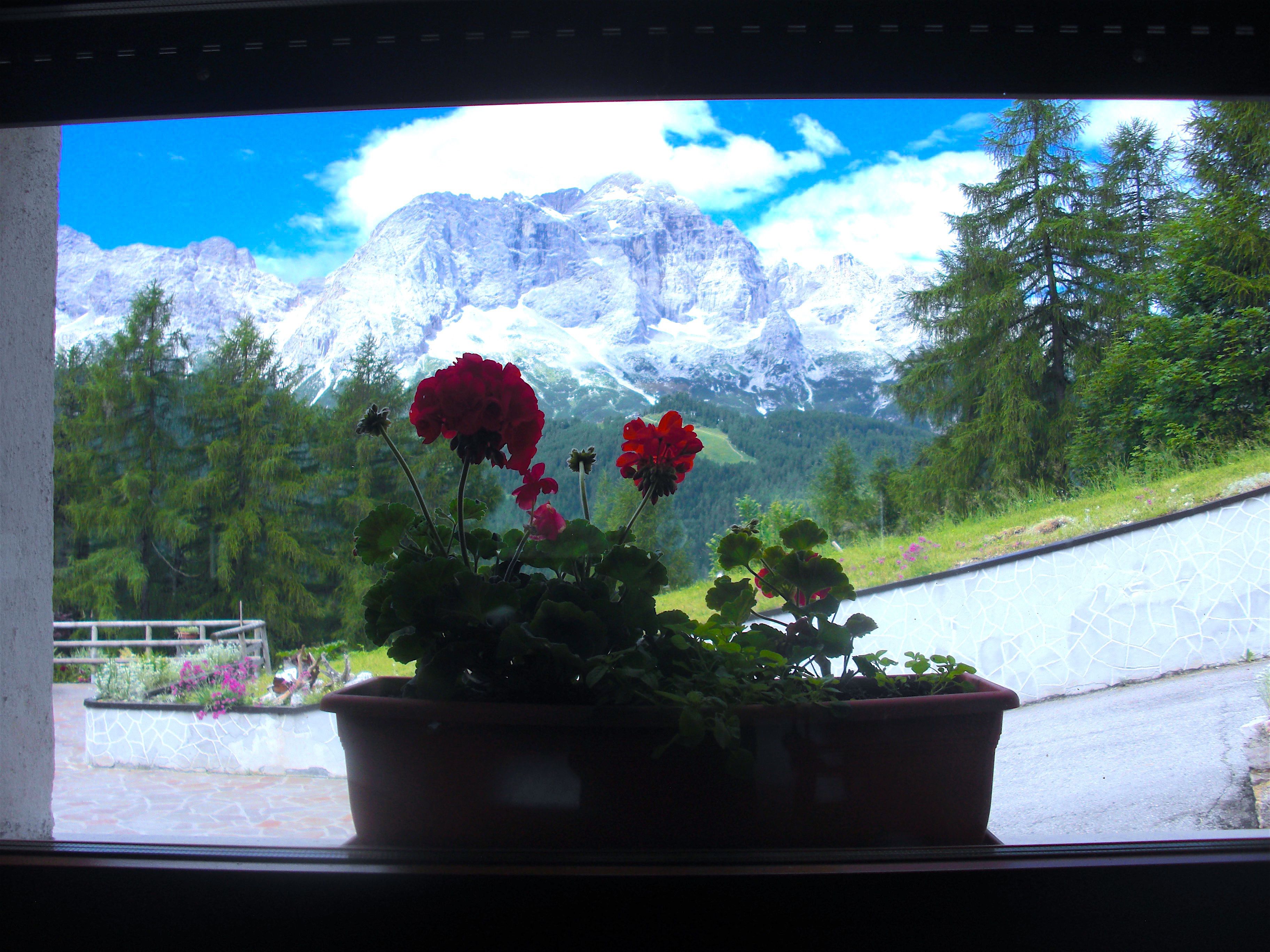 A window view of a mountainous landscape with a potted plant in the foreground.
