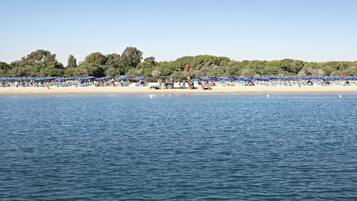 Une plage bordée de rangées de parasols bleus et de chaises longues, avec une bouée de sauvetage et une rive sablonneuse.