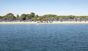 Relax on the beach with a clear view of the sea and a sandy shore, surrounded by shaded lounge chairs and a natural tree line.