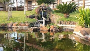 Área da propriedade