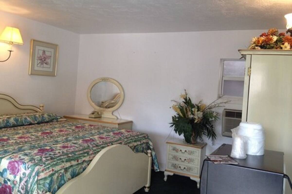 A bedroom with a bed, a dresser, a mirror, a lamp, and a small plant.