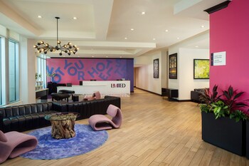 Reception area at The Limited Hotel